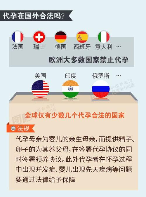 同性伴侣代孕合法吗