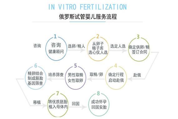 同性做俄罗斯试管婴儿花费